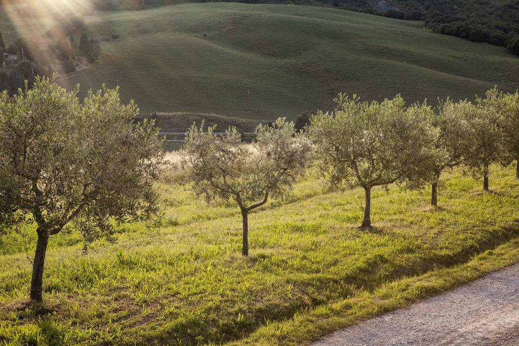 Agriturismo La Provenca Chianciano Terme Exterior foto